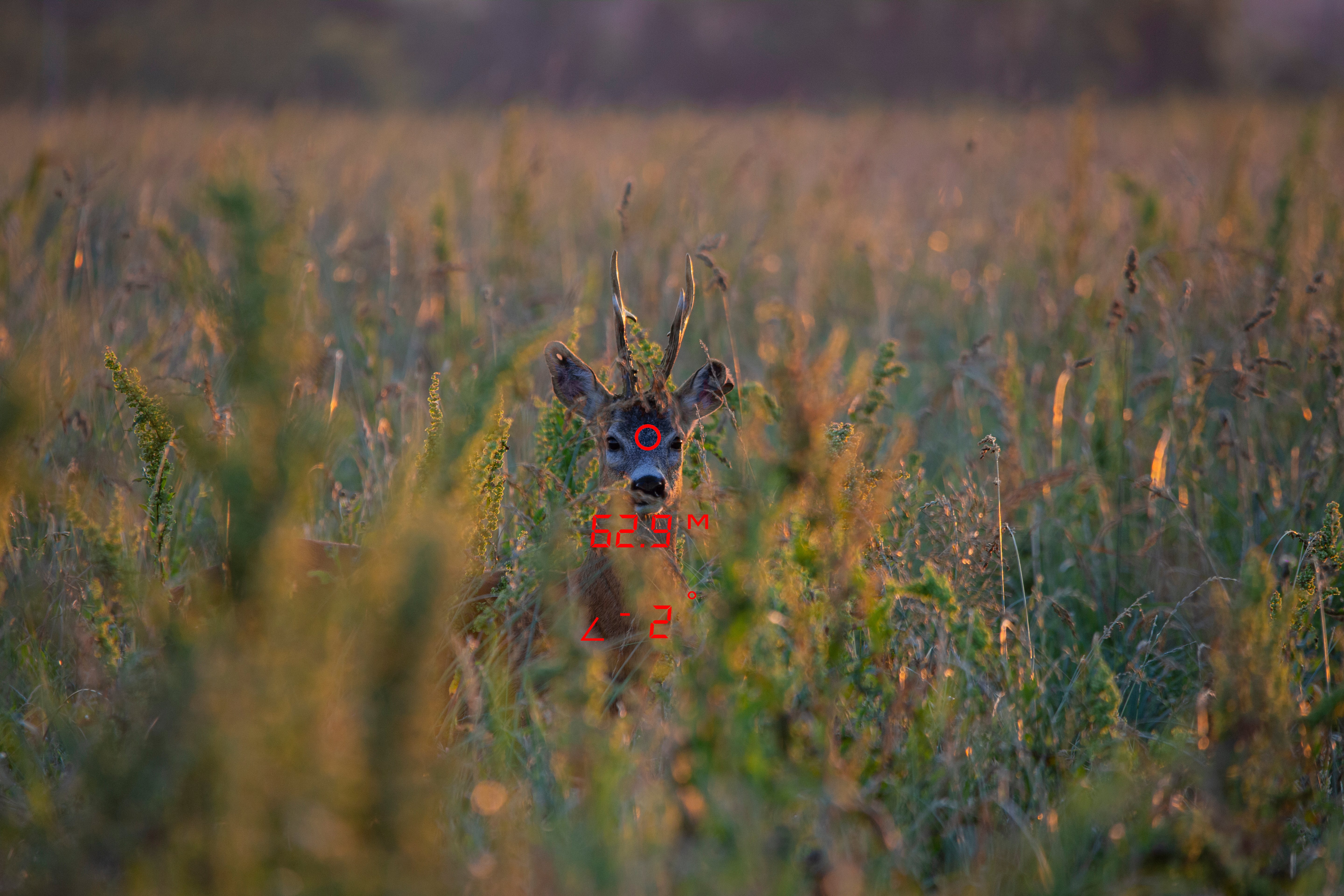 German Precision Optics - GPO RANGEGUIDE 2800 10x50 Black Laser Rangefinder