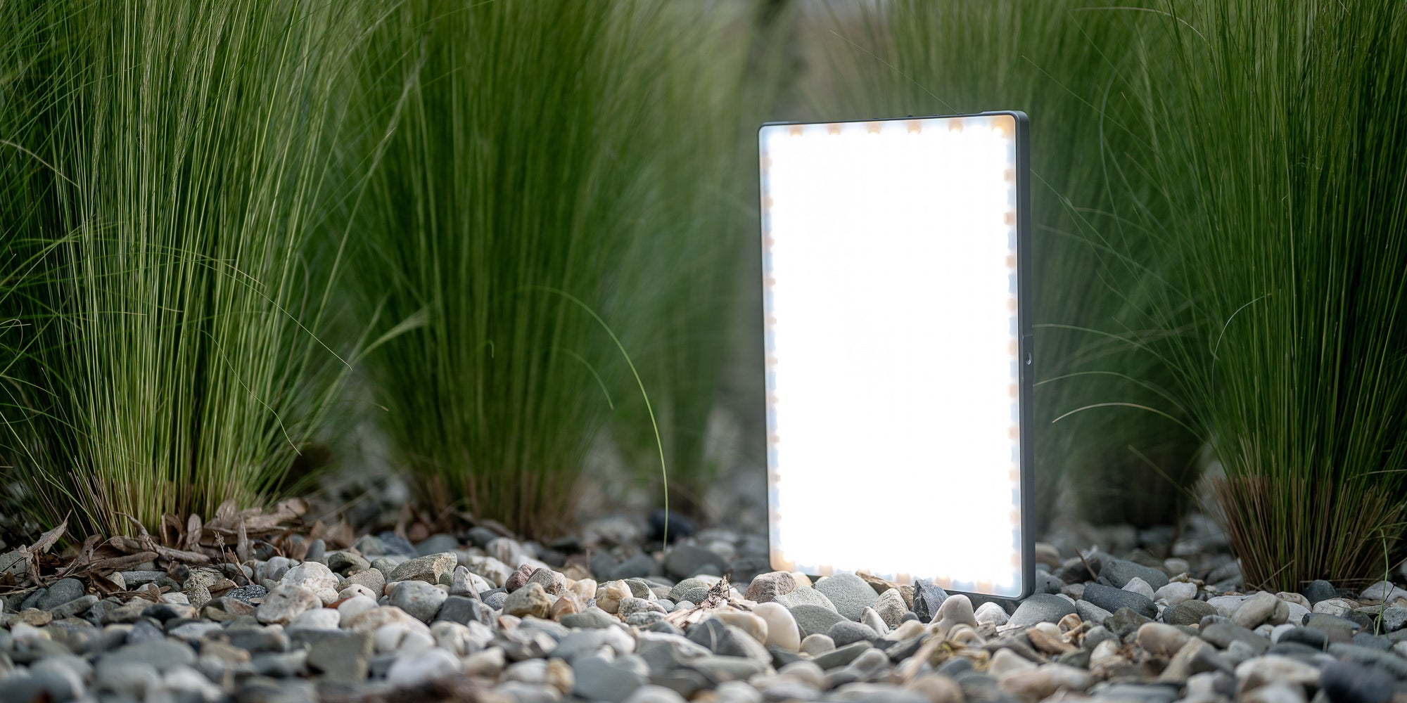 Newell RGB-W Rangha Max XL LED Light