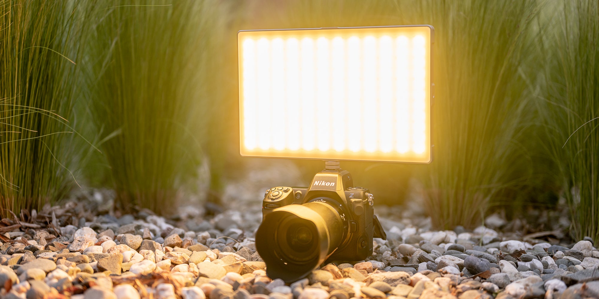 Newell RGB-W Rangha Max XL LED Light