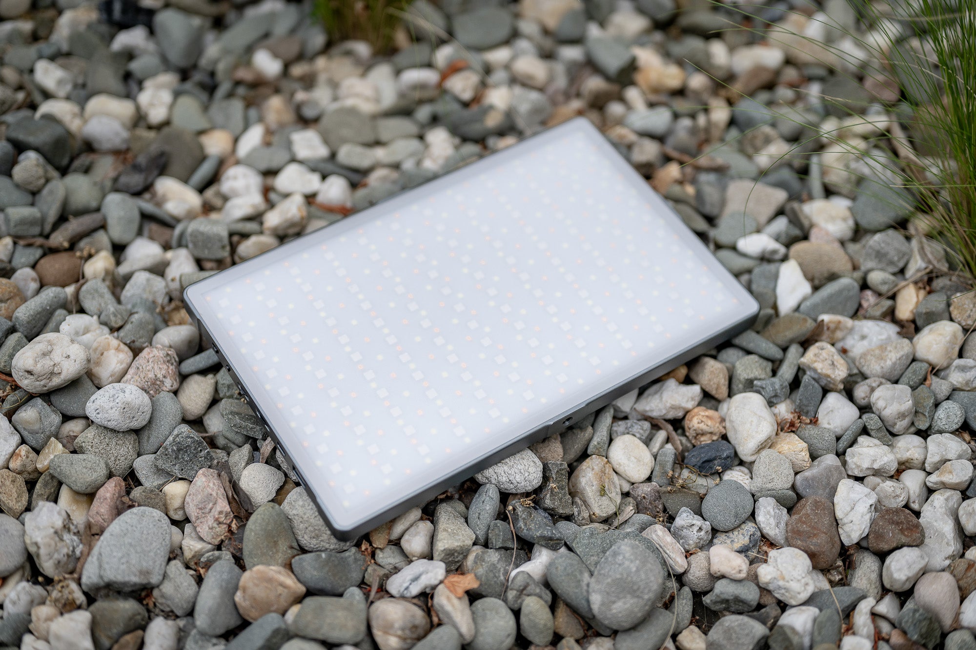 Newell RGB-W Rangha Max XL LED Light