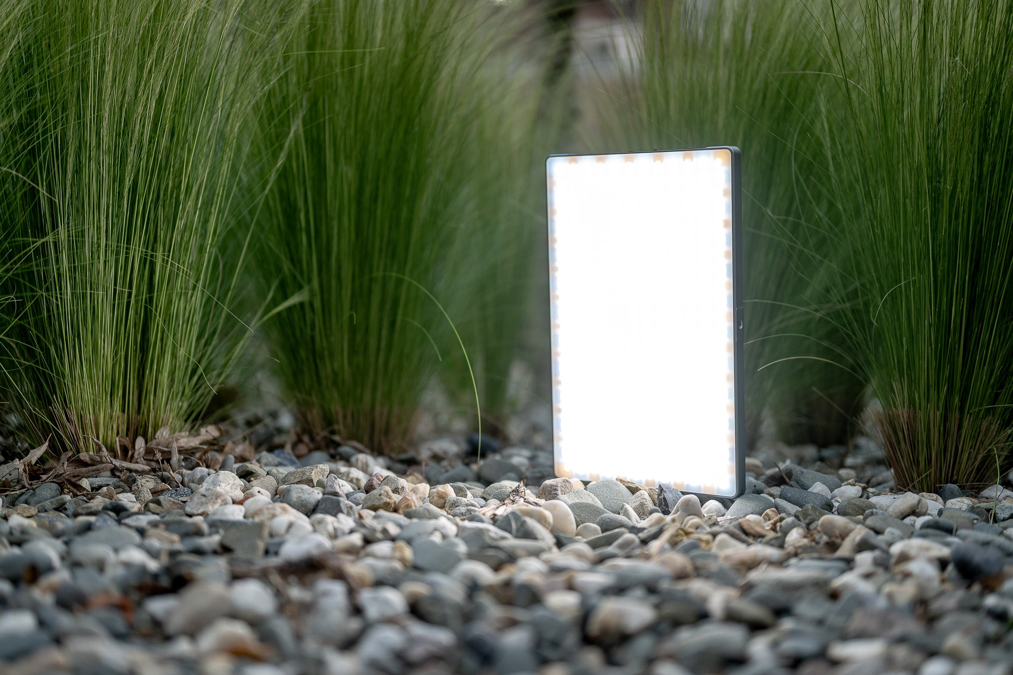 Newell RGB-W Rangha Max XL LED Light