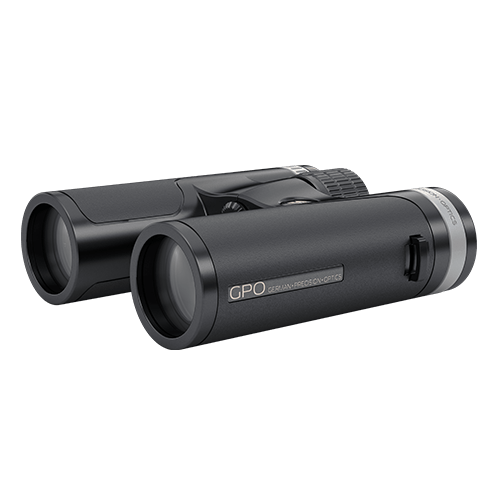 German Precision Optics - GPO PASSION SD 10×34 Black Binoculars