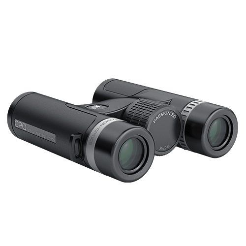 German Precision Optics - GPO PASSION SD 8×26 Binoculars Black