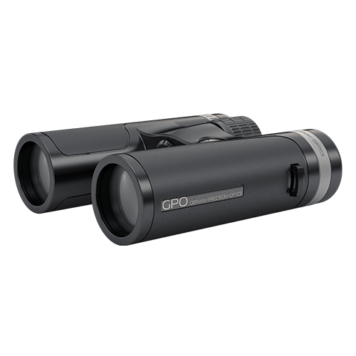 German Precision Optics - GPO PASSION SD 8×34 Black Binoculars