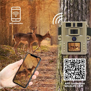 Redleaf T20WF 4K WIFI Trail Camera