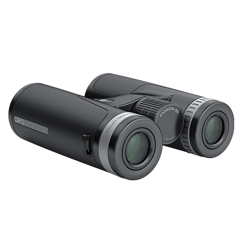 GPO PASSION SD 10×42 Binoculars Black