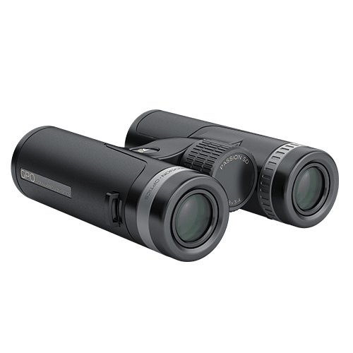 GPO PASSION SD 8×34 Black Binoculars