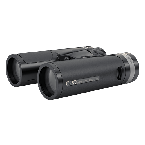 GPO PASSION SD 8×34 Black Binoculars