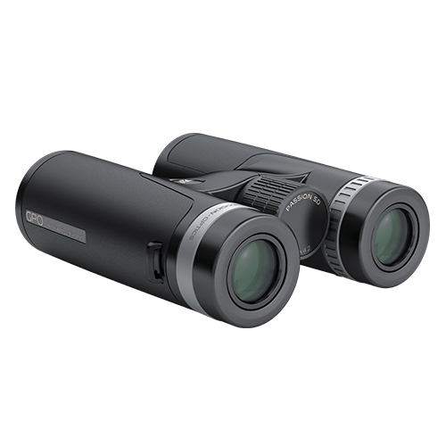 GPO PASSION SD 8×42 Binoculars Black