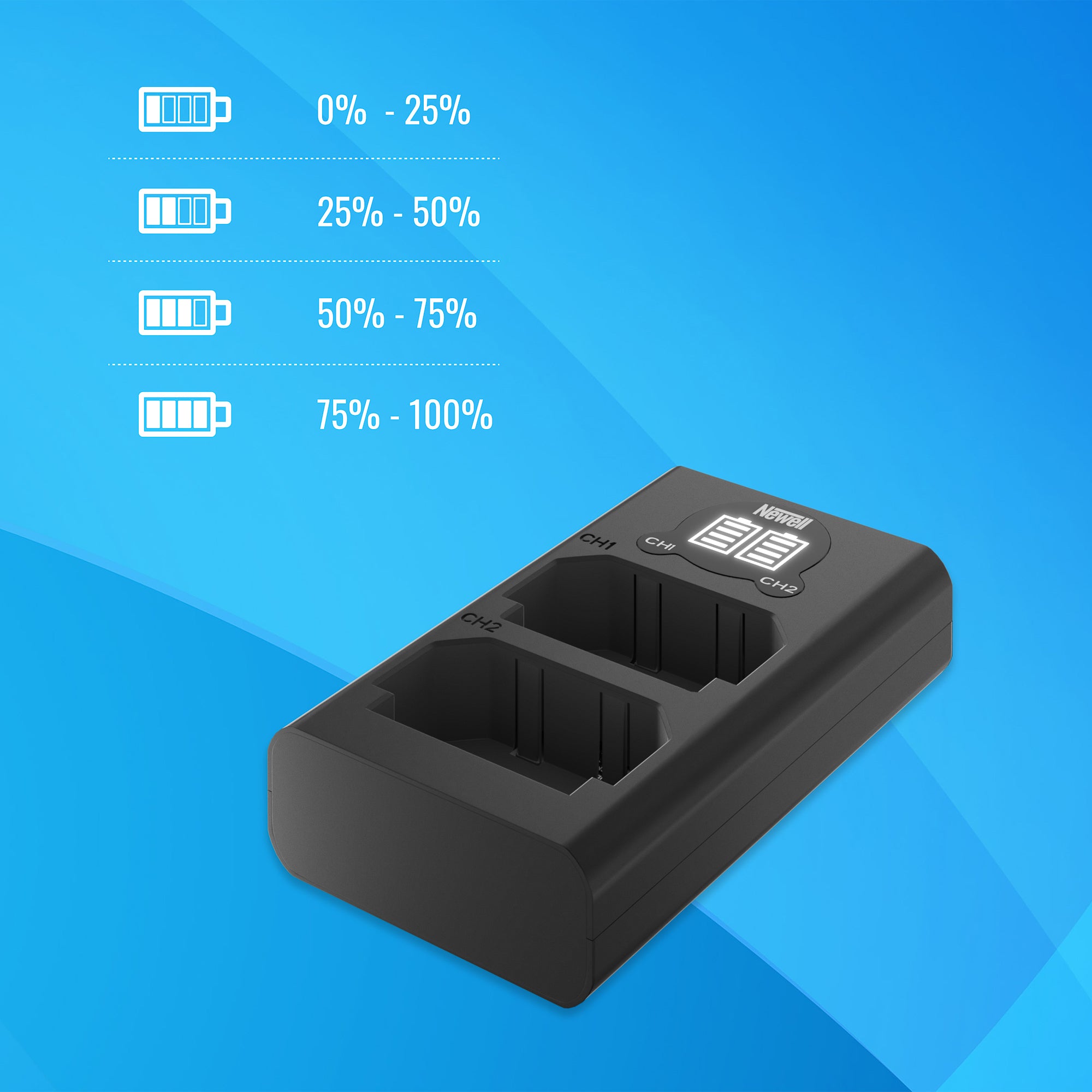 Chargeur de batterie double canal Newell FDL-USB-C pour batteries NP-BX1